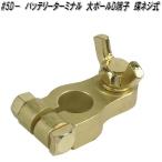大自工業　#5D−　バッテリーターミナル　大ポール　D端子　蝶ネジ式【お取り寄せ商品】バッテリー　ターミナル
