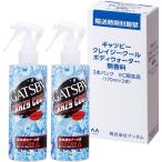 最安！GATSBY(ギャツビー) クレイジークール ボディウォーター 無香料 170ミリリットル (x 2)