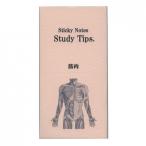  бумага сезон ..Sticky Note Study Tips... мускул клейкий лист FS-SST008