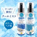  прохладный Mist охлаждающий Mist волосы Mist корпус Mist Mist лосьон увлажнитель Mist .... лето ..... Mist лосьон спрей ..100ml