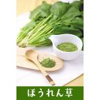 野菜パウダー 野菜ファインパウダー ほうれんそう 20g / ほうれん草 ホウレンソウ 国産野菜100% 製菓 製パン 製麺 料理 離乳食や介護食にも 野菜パウダー