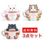 3個セット クーミニョンティー