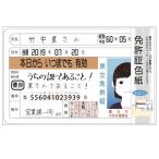 免許書色紙 ゴールド