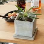 DULTON ダルトン ソリッド プランター キューブ A655-758L