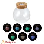  прозрачный горшок ( с подсветкой ) лампа искусство lai карты LEDa- Tec construction сборный изобразительное искусство творчество ученик начальной школы ученик неполной средней школы уход за детьми . детский сад летние каникулы construction 