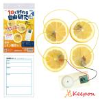 1日で終わる自由研究キット 簡単！レモン電池 アーテック 夏休み工作 冬休み 女の子 男の子 クラフト ハンドメイド ワークショップ 小学生