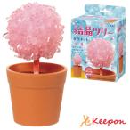  кристалл tree выращивание комплект craft a- Tec ручная работа ручная работа комплект девушки craft ученик начальной школы девочка подарок детский сад уход за детьми . конструкция 