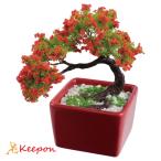  мини бонсай комплект MINIBON Sakura a- Tec construction летние каникулы свободный изучение эксперимент эксперимент комплект ручная работа мужчина девочка .. обычный эксперимент . мояси ручная работа дом 