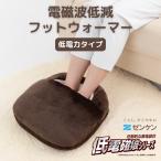 zen талон электромагнитные волны снижение foot утеплитель ZR-05FW стандартный товар стандартный магазин ножек inserting kotatsu... прямая поставка 