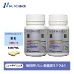 カラダがヨロコブ亜鉛 2個セットニューサイエンス