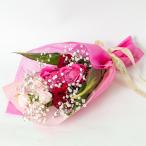 母の日 2026 ギフト フラワーブーケ バラ カーネーション 赤 ピンク 花束 送料無料 メッセージカード付 [チアーズ]B-1