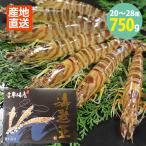  Kumamoto .. машина море . море ..750g(20~28 хвост ). удача . бесплатная доставка машина море . одиночный товар автомобиль .. море ... креветка местного производства морепродукты морепродукты закуска высококлассный гурман ваш заказ 