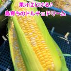 【送料無料】果汁はじける♪島育ちのとうもろこし ドルチェドリーム １０本入り×２箱セット