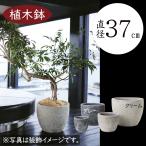 ショッピング植木鉢 植木鉢 おしゃれ 大型 プランター 観葉植物 人気 おすすめ 園芸 ガーデニング 園芸鉢 陶器鉢 器 釉薬陶器 丈夫 堅牢 アビス ソニア ミドル グレー クリーム 12号