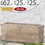 植木鉢 テラコッタ 大型 おしゃれ 