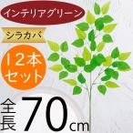 インテリアグリーン 白樺 シラカバ リアル 観葉植物 おしゃれ おすすめ フ…