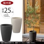 テラコッタ 植木鉢 おしゃれ 人気 おすすめ プランター 観葉植物 園芸鉢 観葉鉢 陶器鉢 器 ポット 緑 花 ガーデニング カイト コニック シンプル インテリア 8号