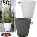 ショッピング植木鉢 植木鉢 おしゃれ 大型 プランター 観葉植物 ファイバークレイ 人気 おすすめ 園芸鉢 イタ コニック 白 灰 ラウンド 特大 ホワイト グレー ポット 大きい 17号