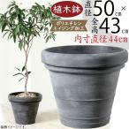 ショッピング植木鉢 植木鉢 おしゃれ 大型 プランター 観葉植物 特大 園芸鉢 ガーデニング 樹木 大木 大きめ ショップ 店舗 お庭 テラス 室内 おすすめ ボルドー グレー 灰色 16号