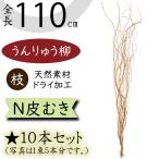 うんりゅう柳 雲竜柳 ドライフラワー おしゃれ N皮むき ウンリュウヤナギ 人気 おすすめ 枝物 枝もの インテリア 天然素材 ドライ素材 全長110cm 10本セット
