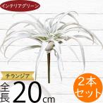 ティランジア チランジア エアプランツ おしゃれ 人気 リアル フェイクグリーン インテリア 造花 人工観葉植物 オブジェ 装飾 エアープランツ 20cm 2本セット