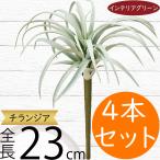 ティランジア チランジア エアプランツ おしゃれ 人気 リアル フェイクグリーン インテリア 造花 人工観葉植物 オブジェ 装飾 エアープランツ 23cm 4本セット