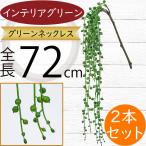 グリーンネックレス多肉植物フェイク...