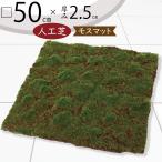 人工芝 人気 大型 おすすめ リアル おしゃれ マット 人工芝生 diy 観葉植物 苔 モス こけ コケ moss フェイクグリーン 造花 フラワーアレンジメント 床 口50cm
