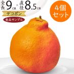 ショッピングデコポン 食品サンプル デコポン リアル フェイクフード 果物 フルーツ 造花 人気 おすすめ アレンジメント ディスプレイ 雑貨 インテリア オブジェ 青果 9cm 4個セット