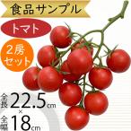 ミニトマト 直径3.5cm 2房セット（フェイクフード 食品サンプル とまと トマト プチトマト 野菜 装飾 ディスプレイ）（商品番号：sa-325324）