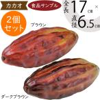 カカオ 全長17cm 3個セット（フェイクフード 食品サンプル カカオ豆 カカオの樹 ココアの樹 装飾 ディスプレイ オブジェ）