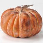 かぼちゃ 全高20cm（フェイクフード 食品サンプル カボチャ パンプキン 南瓜 野菜 装飾 ディスプレイ オブジェ）（商品番号：sa-a20441）