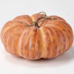 かぼちゃ 全高16cm（フェイクフード 食品サンプル カボチャ パンプキン 南瓜 野菜 装飾 ディスプレイ オブジェ）（商品番号：sa-a20442）