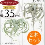 ティランジア チランジア エアプランツ おしゃれ 人気 リアル フェイクグリーン インテリア 造花 人工観葉植物 オブジェ 装飾 エアープランツ 35cm 2本セット