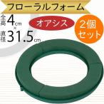  или sis цветочный оазис популярный . вода водоснабжение губка аранжировка цветов сырой . цветок зеленый зеленый материалы для цветочной композиции материал фундамент основа oasis lease 31.5cm прекрасное качество 2 шт. комплект 