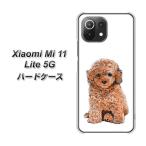 シャオミ Mi 11 Lite 5G ハードケース カバー YJ195 トイプードル 犬 かわいい 素材クリア UV印刷