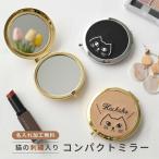  compact зеркало вышивка кошка название inserting .. кошка ....CAT животное домашнее животное именная табличка ручное зеркало и т.п. раз зеркало увеличительное стекло подарок маленький подарок мелкие вещи женский мужской симпатичный 