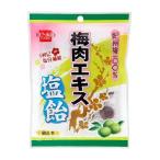 ショッピングぬちまーす 1001234-kf 梅肉エキス塩飴 70g  (健康フーズ)   (1〜5個はメール便300円)