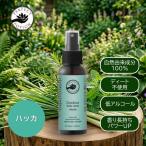  уличный bo дисплей - ka100ml ( Perfect Poe shon) ( лето ограничение ) 1009388-kfsk