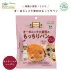 オーガニック小麦粉のもっちりパン オーガニックレーズン 1個  (ノースカラーズ) 2030034-ms