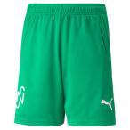 ジュニア NJR COPA ショーツ　ジェリービーン　【PUMA|プーマ】サッカーフットサルジュニアウェアー605571-07