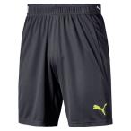 ftblNXT ショーツ　エボニー　【PUMA|プーマ】サッカーフットサルウェアー656646-02