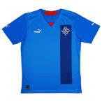 アイスランド代表 2022 ホーム 半袖レプリカユニフォ