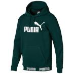 AMPLIFIED フーデッドスウェット　ポンデローザパイン　【PUMA|プーマ】サッカーフットサルウェアー854737-30