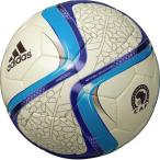 アフリカネイションズカップ2015 レプ