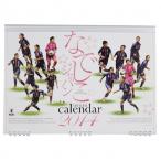 �ʤǤ�������ѥ� 2014 ���ե�����륫�����������å����եåȥ��륢�������꡼njca2014