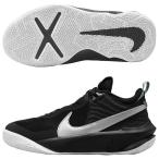 ジュニア チームハッスル D 10　ブラック×メタリックシルバー　【NIKE|ナイキ】バスケットボールシューズcw6735-004