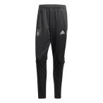 ドイツ代表 トレーニングパンツ　カーボン　【adidas|アディダス】ナショナルチームウェアーgkd68-fi0751