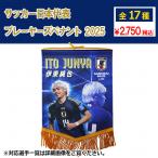  футбол Япония представитель плеер zpe наан to2025 футбол Япония представитель аксессуары jfa-25ss-pennant