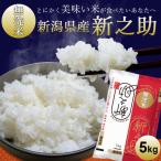 お米 5kg 白米【無洗米】新潟産新之